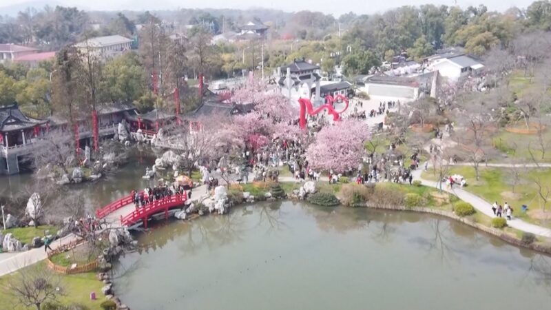 Spring_Blossom_Boom__Tourism_Soars_as_Flowers_Bloom_Across_China__ - 🌍NewspaperAmigo – Your Global News Buddy 🗞️ __Spring_Blossom_Boom__Tourism_Soars_as_Flowers_Bloom_Across_China__