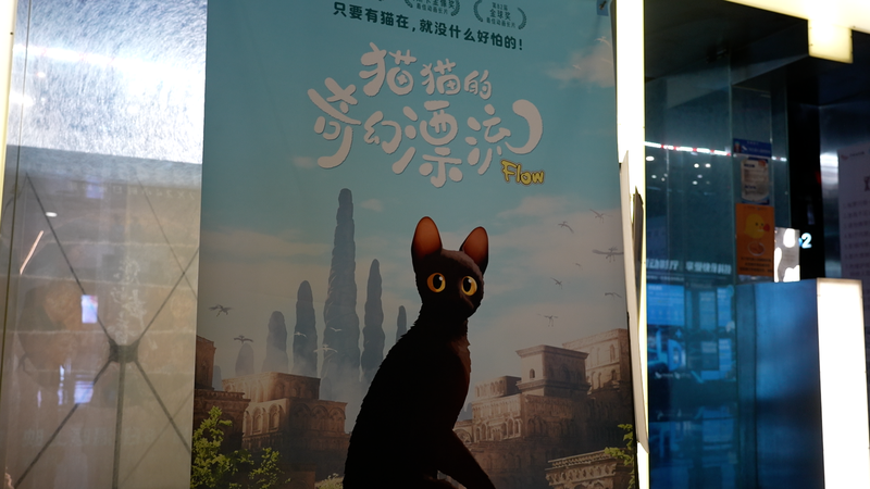 Latvia’s Oscar-Winning ‘Flow’ Captivates Chinese Audiences 🎥✨ Latvia's Oscar-Winning 'Flow' Captivates Chinese Audiences 🎥✨ video poster