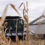 Trump_s_Tariffs_Backfire__US_Farmers_Struggle___ - 🌍NewspaperAmigo – Your Global News Buddy 🗞️ Trump_s_Tariffs_Backfire__US_Farmers_Struggle___