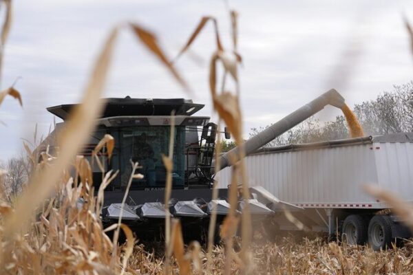 Trump’s Tariffs Backfire: US Farmers Struggle 🌾💸 Trump_s_Tariffs_Backfire__US_Farmers_Struggle___