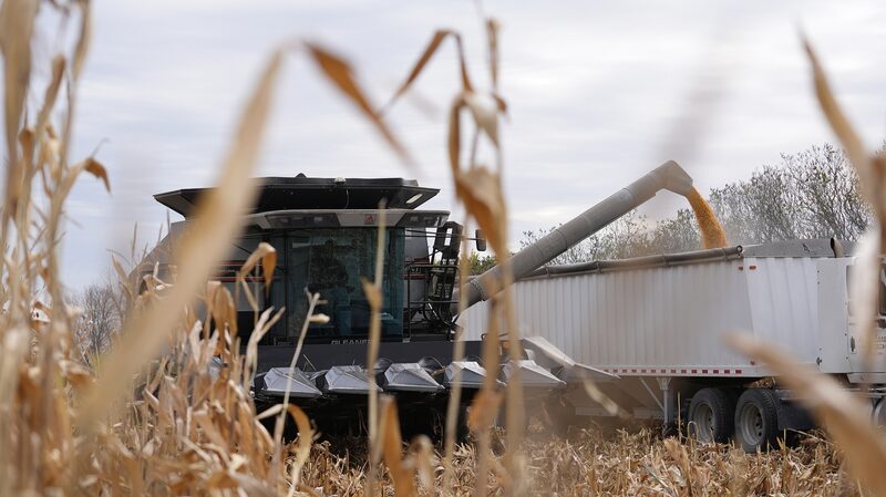 Trump_s_Tariffs_Backfire__US_Farmers_Struggle___
