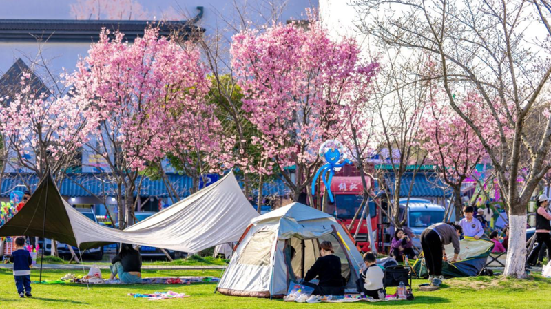 🌸 Pinghu Blossoms Welcome Global Wanderers for Spring Fest!