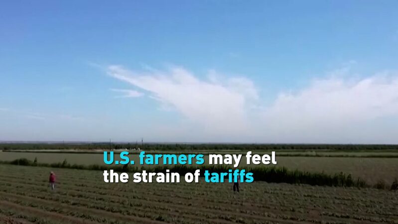 U_S__Farmers_Feel_the_Heat_as_Tariffs_Stir_Trade_Tensions____poster - 🌍NewspaperAmigo – Your Global News Buddy 🗞️ U_S__Farmers_Feel_the_Heat_as_Tariffs_Stir_Trade_Tensions___ video poster