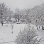U_S__Storms_Unleash_Chaos__Tornadoes__Blizzards__Wildfires______ - 🌍NewspaperAmigo – Your Global News Buddy 🗞️ U_S__Storms_Unleash_Chaos__Tornadoes__Blizzards__Wildfires______