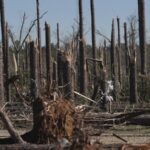 U_S__Weather_Chaos__Tornadoes__Wildfires_Leave_37_Dead____ - 🌍NewspaperAmigo – Your Global News Buddy 🗞️ U_S__Weather_Chaos__Tornadoes__Wildfires_Leave_37_Dead____