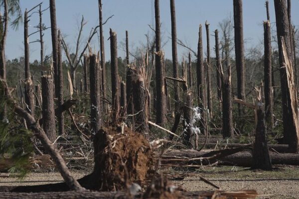 U.S. Weather Chaos: Tornadoes, Wildfires Leave 37 Dead 🌪️🔥 U_S__Weather_Chaos__Tornadoes__Wildfires_Leave_37_Dead____