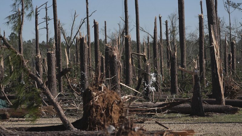 U_S__Weather_Chaos__Tornadoes__Wildfires_Leave_37_Dead____