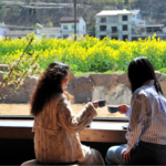 WQKGT6BCGHYC7RTT76WK - 🌍NewspaperAmigo – Your Global News Buddy 🗞️ 🌸☕ Sip & Bloom: Yichang’s Rapeseed Flower Cafe Draws Spring Crowds