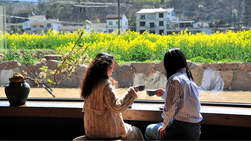 WQKGT6BCGHYC7RTT76WK - 🌍NewspaperAmigo – Your Global News Buddy 🗞️ 🌸☕ Sip & Bloom: Yichang’s Rapeseed Flower Cafe Draws Spring Crowds