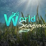 World_Seagrass_Day__Protecting_the_Ocean_s_Unsung_Heroes____