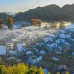 Wuyuan_s_Golden_Bloom__Rural_Revitalization_Meets_Eco_Magic____ - 🌍NewspaperAmigo – Your Global News Buddy 🗞️ Wuyuan_s_Golden_Bloom__Rural_Revitalization_Meets_Eco_Magic____
