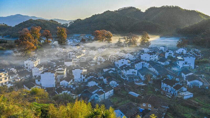 Wuyuan_s_Golden_Bloom__Rural_Revitalization_Meets_Eco_Magic____