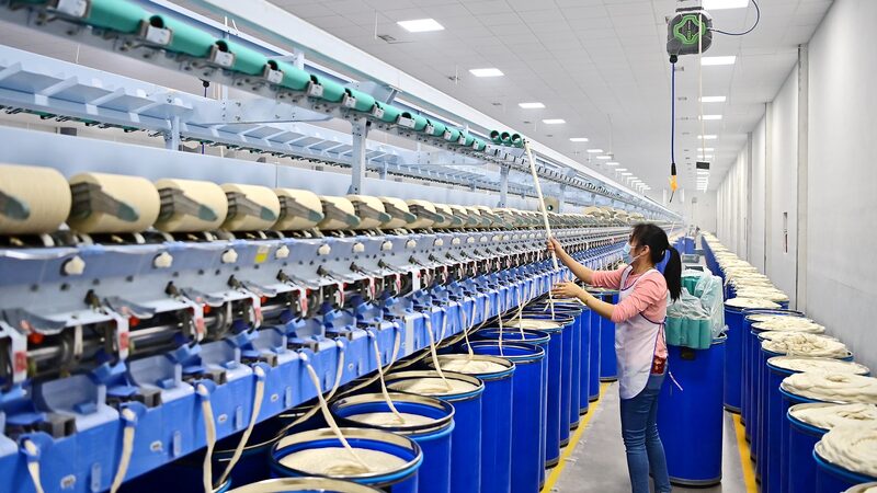 Xi_s_Dual_Sector_Vision__Public___Private_Growth_in_Focus___