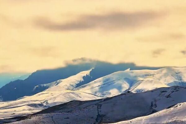 Xinjiang’s Tekes County Transforms into Springtime Snow Wonderland ❄️🌼 Xinjiang_s_Tekes_County_Transforms_into_Springtime_Snow_Wonderland____ video poster