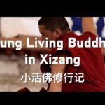 Young_Living_Buddhas_Blend_Tradition___Modern_Education_in_Xizang____poster - 🌍NewspaperAmigo – Your Global News Buddy 🗞️ Young_Living_Buddhas_Blend_Tradition___Modern_Education_in_Xizang___ video poster