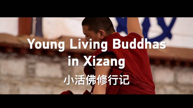 Young_Living_Buddhas_Blend_Tradition___Modern_Education_in_Xizang___ video poster
