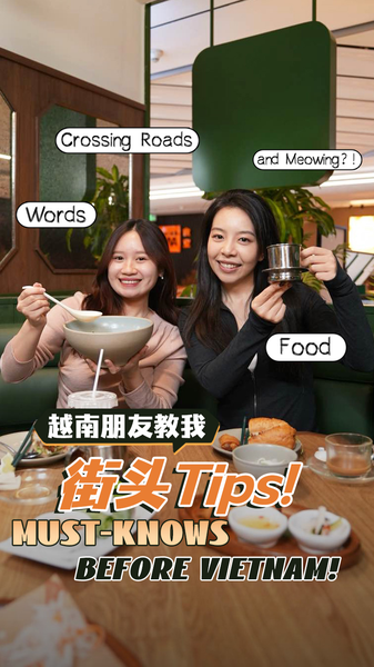 Vietnam Unlocked: Eat, Speak & Street-Survive Like a Local! 🍜🚦 Vietnam Unlocked: Eat, Speak & Street-Survive Like a Local! 🍜🚦 video poster