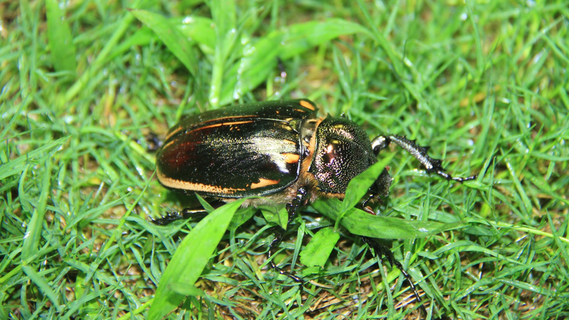 Youth Lead 'Green Long March' for China's Eco Future 🌱