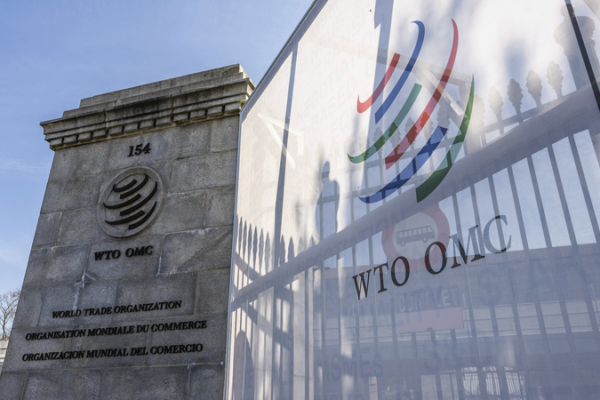 WTO Steps In Amid Global Trade Tensions πβοΈπ¨ WTO Steps In Amid Global Trade Tensions πβοΈπ¨