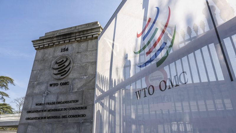 WTO Steps In Amid Global Trade Tensions 🌍⚖️🚨