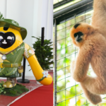 2S2R42ZEJDXRP5AQ82W1 - 🌍NewspaperAmigo – Your Global News Buddy 🗞️ Hainan Expo Mascots Shine Spotlight on Rainforest Rescue 🌿🐒