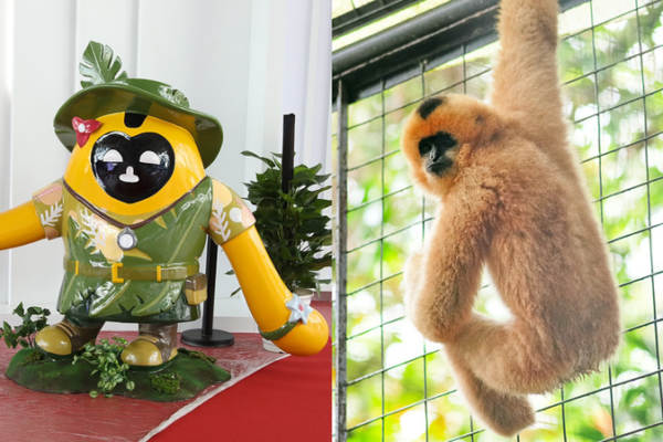 Hainan Expo Mascots Shine Spotlight on Rainforest Rescue 🌿🐒 Hainan Expo Mascots Shine Spotlight on Rainforest Rescue 🌿🐒