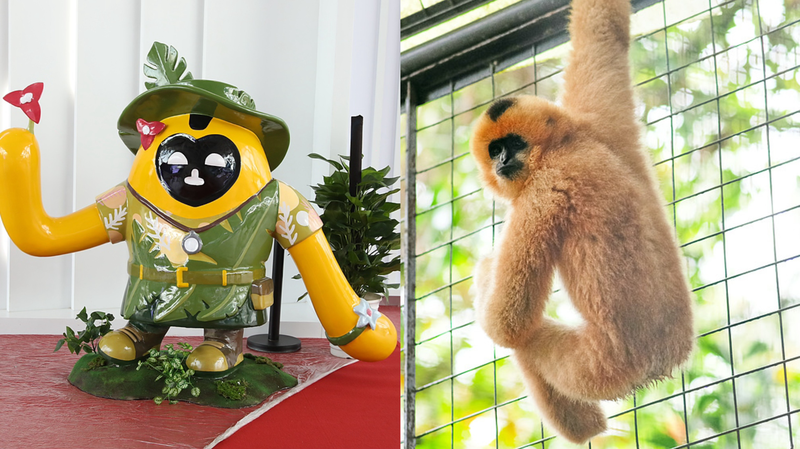 Hainan Expo Mascots Shine Spotlight on Rainforest Rescue 🌿🐒