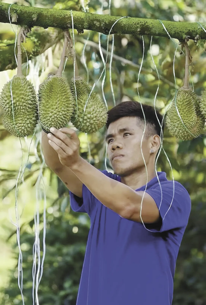 Chinese AI Transforms Malaysian Durian Trade 🌟🤖