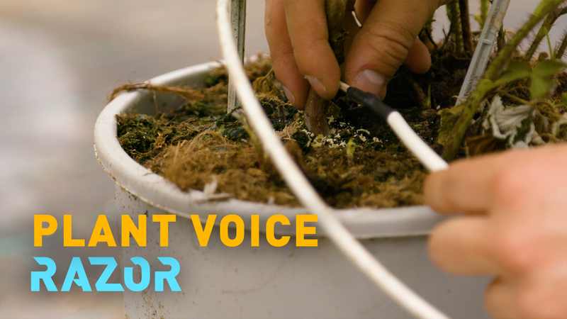 4IVKSKCXU4LA2FIJNA9V - 🌍NewspaperAmigo – Your Global News Buddy 🗞️ The High-Tech 'Toothpick' Revolutionizing Farming 🌱📱 video poster