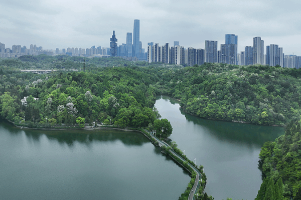 China’s Green Revolution: First-Ever Environmental Code Unveiled 🌱🌍