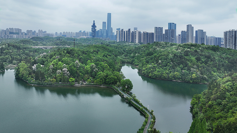 China’s Green Revolution: First-Ever Environmental Code Unveiled 🌱🌍