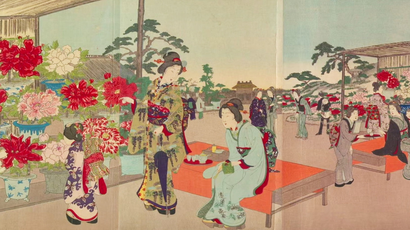 6HXO8BH3YZC6CK7X6TJY - 🌍NewspaperAmigo – Your Global News Buddy 🗞️ Peonies & Peace: Heze-Gifu Bloom as Friends 🌸🤝 video poster