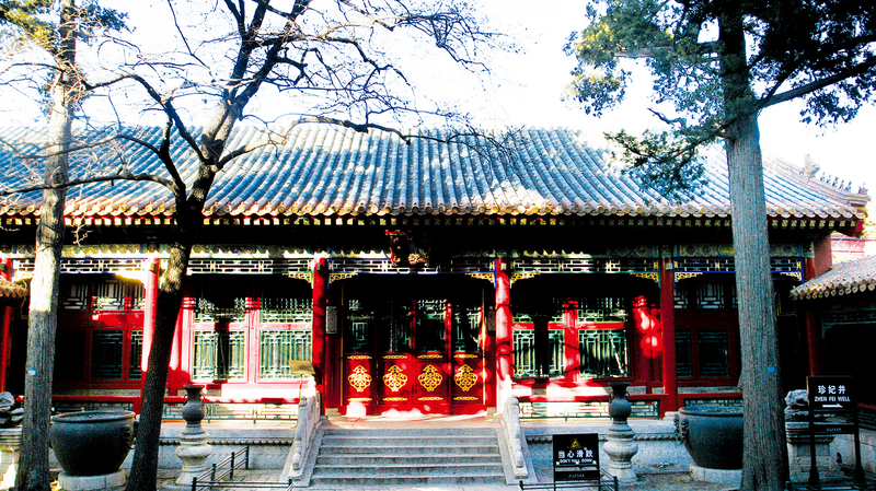 Forbidden City's Secret Garden Unlocks After Century-Long Wait 🏮