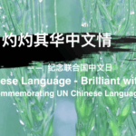 Celebrating the Chinese Language & Its Global Impact 🌏📜 video poster