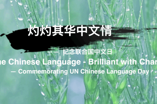 Celebrating the Chinese Language & Its Global Impact 🌏📜 Celebrating the Chinese Language & Its Global Impact 🌏📜 video poster