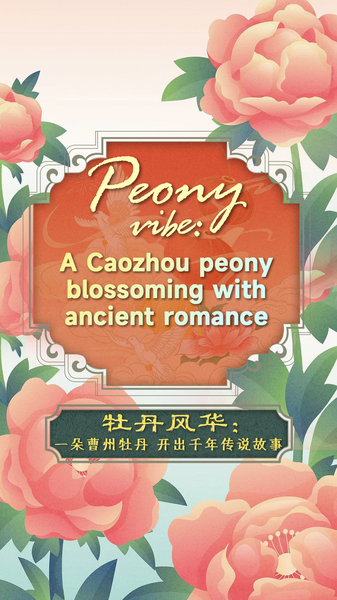 7FDYJTB88O6M7MBHYXZG - 🌍NewspaperAmigo – Your Global News Buddy 🗞️ Peony Power 🌸: Unveiling Caozhou’s Blossoming Legends of Love & Heroism video poster