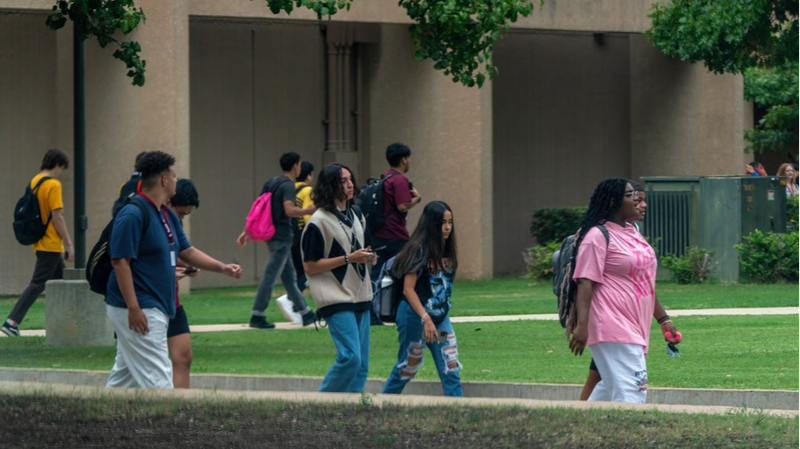 Young Americans Disillusioned With Political System 🌊🗳️