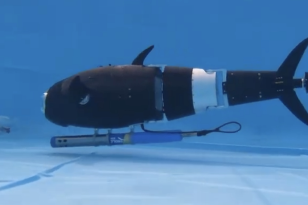 Robo-Fish Swim into Aquaculture, Boosting Farms with AI Power 🌊🤖 Robo-Fish Swim into Aquaculture, Boosting Farms with AI Power 🌊🤖
