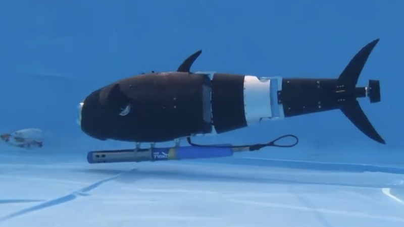 Robo-Fish Swim into Aquaculture, Boosting Farms with AI Power 🌊🤖