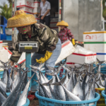 89TA4GK1913F3QBAOW3Q - 🌍NewspaperAmigo – Your Global News Buddy 🗞️ Hainan Fishermen Reel in Spring Bounty 🎣🌊