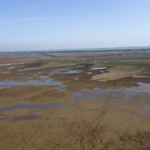 Tiaozini Wetlands: Where Birds Thrive & Communities Prosper 🌿🕊️