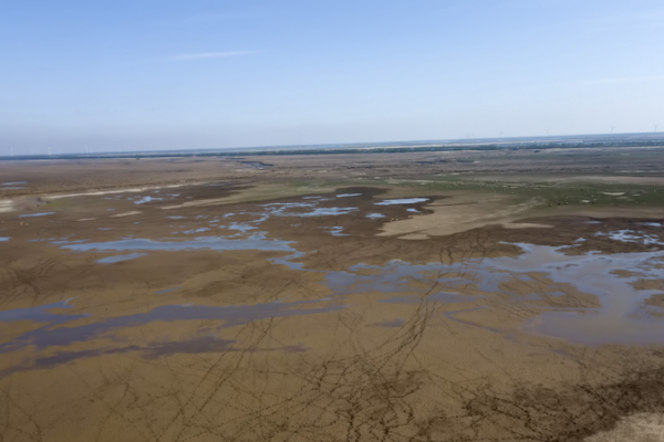 Tiaozini Wetlands: Where Birds Thrive & Communities Prosper 🌿🕊️ Tiaozini Wetlands: Where Birds Thrive & Communities Prosper 🌿🕊️