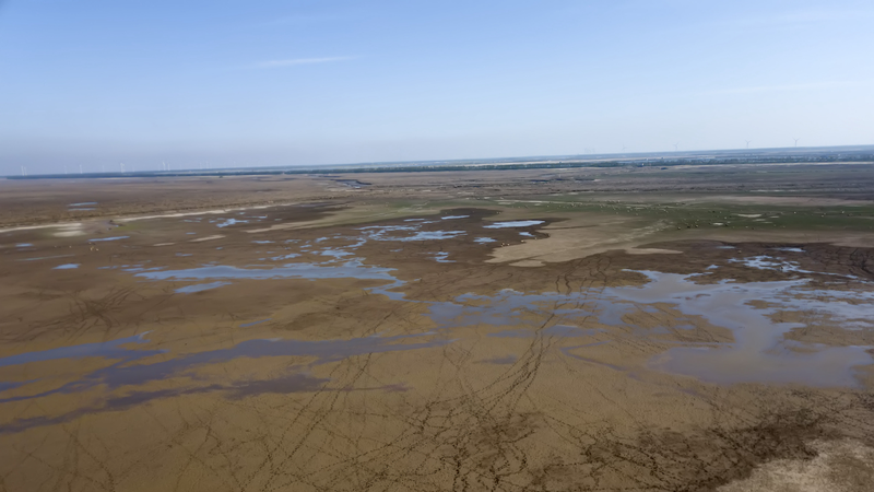 Tiaozini Wetlands: Where Birds Thrive & Communities Prosper 🌿🕊️