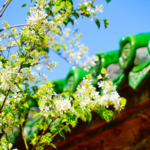 8HRLEDW5QNXL8C3A2WDG - 🌍NewspaperAmigo – Your Global News Buddy 🗞️ China's Tomb-Sweeping Day Goes Digital & Eco-Friendly 🌿💻