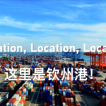 91L9DPYCQ02BIMLS6RVV - 🌍NewspaperAmigo – Your Global News Buddy 🗞️ Qinzhou Port: Asia’s Rising Trade Powerhouse 🌏🚢 video poster