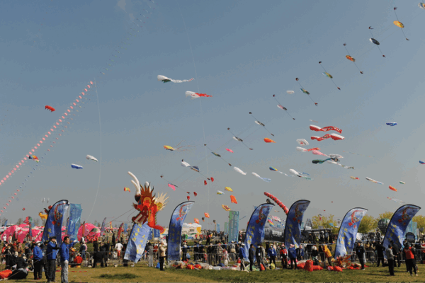 Soaring Creativity: Shandong’s 42nd Kite Festival Lights Up the Sky 🌈🪁 Soaring Creativity: Shandong’s 42nd Kite Festival Lights Up the Sky 🌈🪁 video poster