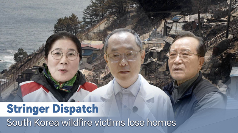 South Korea Wildfires: Homes Lost, Hope Emerges 🌏🔥 video poster