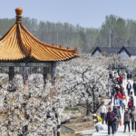 9TOE2JZT9EJ4BUTQ2SEU - 🌍NewspaperAmigo – Your Global News Buddy 🗞️ China Sees Travel Boom as Qingming Festival Kicks Off 🚆🌄