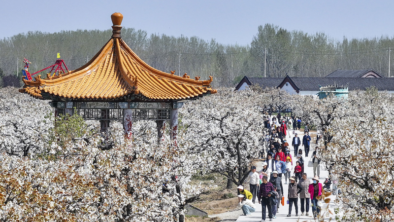 China Sees Travel Boom as Qingming Festival Kicks Off 🚆🌄
