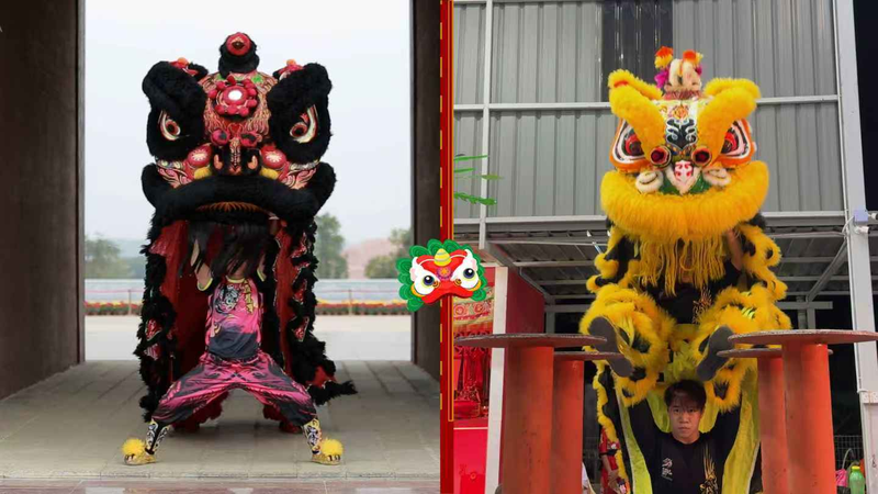 A7O4N7CYXFH7ENBIWWDJ - 🌍NewspaperAmigo – Your Global News Buddy 🗞️ Lion Dance Revived: China & Malaysia’s Cultural Fusion 🦁✨ video poster